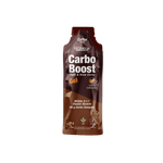 OFERTA ESPECIAL- CARBO BOOST GEL (VICTORY ENDURANCE)