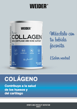 COLLAGEN VAINILLA (WEIDER)