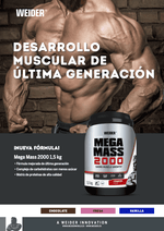 MEGA MASS 2000 (WEIDER)