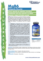 MGB6 (VICTORY ENDURANCE)