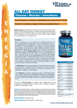 ALL DAY ENERGY (VICTORY ENDURANCE)