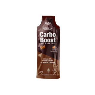 CARBO BOOST GEL (VICTORY ENDURANCE)